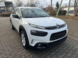 Weiß Gebraucht 2020 Citroën C4 Cactus Shine Kleinwagen | 6.990 € (Teuer)