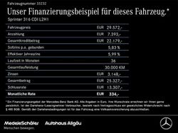 Heathgrün Gebraucht 2020 Mercedes Sprinter Van | 29.571 € (Fairer Preis)