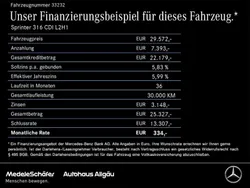Heathgrün Gebraucht 2020 Mercedes Sprinter Van | 29.571 € (Fairer Preis)