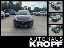 Grau Gebraucht 2015 Opel Adam Kleinwagen | 13.470 € (Teuer)