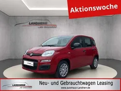 Rot Neu 2025 Fiat Panda Kleinwagen | 13.895 € (Guter Preis)