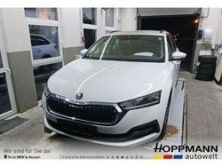 Candyweiss Gebraucht 2022 Skoda Octavia Clever Kombi | 21.670 € (Fairer Preis)