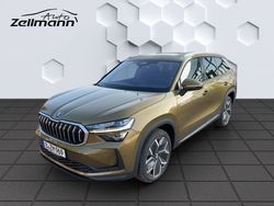 Gold Gebraucht 2024 Skoda Kodiaq Selection SUV | 53.420 € (Teuer)