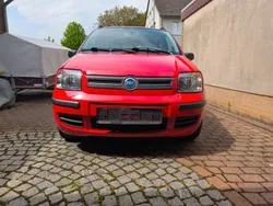 Rot Gebraucht 2006 Fiat Panda Kleinwagen | 2.799 € (Fairer Preis)