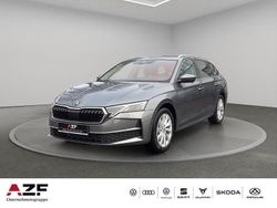 Grau Gebraucht 2024 Skoda Octavia Selection Kombi | 29.990 € (Guter Preis)