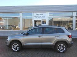 Beige Gebraucht 2019 Skoda Karoq Ambition SUV | 17.999 € (Fairer Preis)