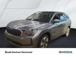 Grau Gebraucht 2024 Skoda Kodiaq Selection SUV | 42.991 € (Superpreis)