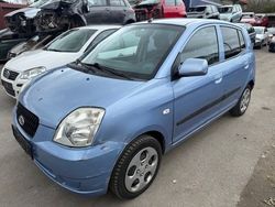 Blau Gebraucht 2008 Kia Picanto Start Kleinwagen | 1.200 € (Superpreis)