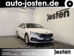 Candyweiss Gebraucht 2022 Skoda Octavia Ambition Kombi | 22.880 € (Superpreis)
