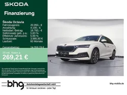 Weiss Gebraucht 2021 Skoda Octavia | 20.950 € (Guter Preis)