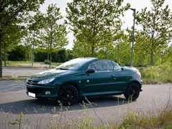 Grün Gebraucht 2003 Peugeot 206 CC Roland Garros Cabrio | 3.950 €