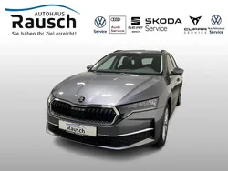 Grau Neu 2025 Skoda Octavia Selection Kombi | 32.350 € (Fairer Preis)