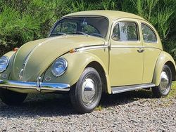 Grün Gebraucht 1963 VW Käfer Limousine | 21.500 €