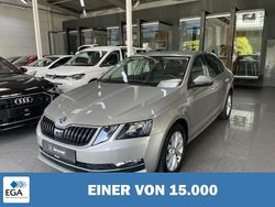 Beige metallic Gebraucht 2019 Skoda Octavia Style | 15.860 € (Superpreis)