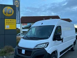 Weiß Neu 2025 Fiat Ducato Van | 31.500 € (Guter Preis)