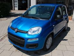 Blau Neu 2025 Fiat Panda Kleinwagen | 14.880 € (Fairer Preis)
