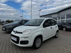 Weiss Gebraucht 2020 Fiat Panda Easy Kleinwagen | 9.800 € (Fairer Preis)
