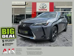 Mercury grey Gebraucht 2019 Lexus UX 250h Launch Edition SUV | 23.990 € (Fairer Preis)