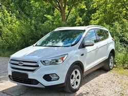 Weiß Gebraucht 2016 Ford Kuga Business Edition SUV | 11.200 € (Etwas zu teuer)