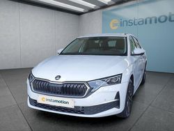 Weiß Gebraucht 2025 Skoda Octavia Kombi | 44.349 €
