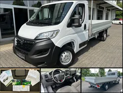 Casabl/arctic/eisweiss/kaolin Gebraucht 2023 Opel Movano Edition Van | 25.490 € (Fairer Preis)
