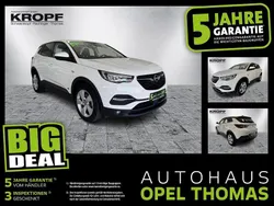 Jade weiss/arktis weiss Gebraucht 2021 Opel Grandland X Business Edition SUV | 19.490 € (Guter Preis)