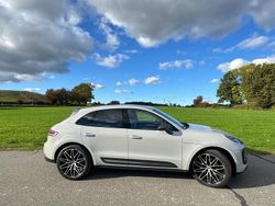 Andere farben Gebraucht 2024 Porsche Macan SUV | 75.500 € (Etwas zu teuer)