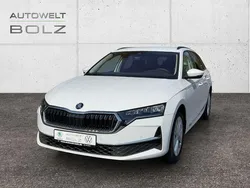 Weiss Gebraucht 2024 Skoda Octavia Selection Kombi | 28.490 € (Guter Preis)