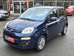 Blau Gebraucht 2020 Fiat Panda Easy Kleinwagen | 8.900 € (Fairer Preis)