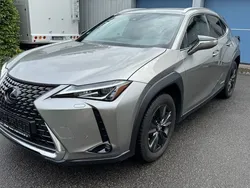Grau Gebraucht 2020 Lexus UX 250h Executive Line SUV | 23.500 € (Guter Preis)