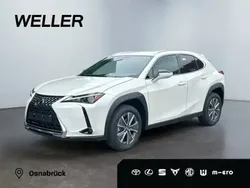 Lexus UX 300e