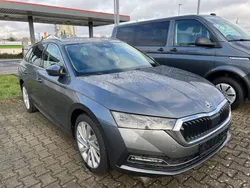 Grau Gebraucht 2023 Skoda Octavia Style Kombi | 31.990 € (Etwas zu teuer)