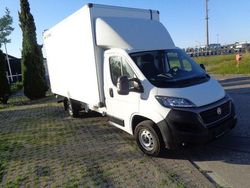 Weiß Gebraucht 2021 Fiat Ducato Van | 14.999 € (Etwas zu teuer)