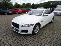 Fuji white Gebraucht 2019 Jaguar XF Pure Limousine | 20.700 € (Fairer Preis)