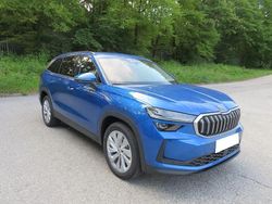 Blau Gebraucht 2024 Skoda Kodiaq Selection SUV | 38.990 €