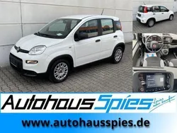 Weiss Gebraucht 2023 Fiat Panda Kleinwagen | 11.490 € (Guter Preis)