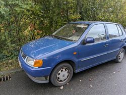 Blau Gebraucht 1998 VW Polo Kleinwagen | 350 €
