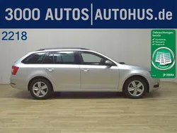 Grau Gebraucht 2019 Skoda Octavia Ambition Kombi | 10.980 € (Superpreis)