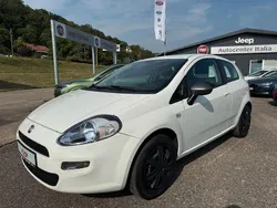 Weiß Gebraucht 2014 Fiat Punto Young Kleinwagen | 6.990 € (Teuer)