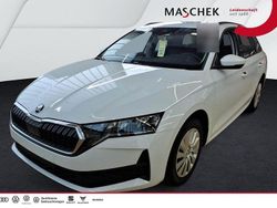 Moonweiß perleffekt Gebraucht 2025 Skoda Octavia Kombi | 25.240 € (Superpreis)