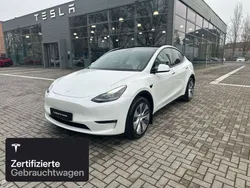 Weiß Gebraucht 2024 Tesla Model Y Long Range SUV | 41.100 € (Guter Preis)