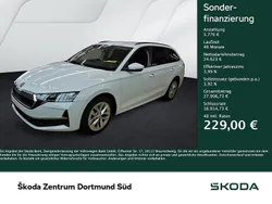 Moonweiss metallic Gebraucht 2024 Skoda Octavia Selection Kombi | 30.399 € (Fairer Preis)