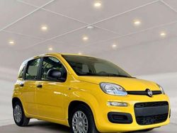 Gelb Neu 2025 Fiat Panda Kleinwagen | 13.790 € (Guter Preis)