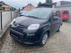 Schwarz Gebraucht 2024 Fiat Panda Kleinwagen | 14.300 € (Etwas zu teuer)