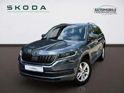 Grau Gebraucht 2019 Skoda Kodiaq Style SUV | 23.970 € (Guter Preis)