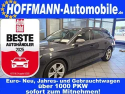 Magneticgraumet. Gebraucht 2021 Seat Leon FR Kombi | 20.900 € (Fairer Preis)