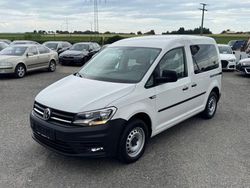 Candyweiß Gebraucht 2018 VW Caddy Van / Kleinbus | 29.900 €