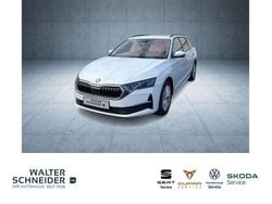 Moonweiss metallic Gebraucht 2024 Skoda Octavia Selection Kombi | 31.450 € (Fairer Preis)