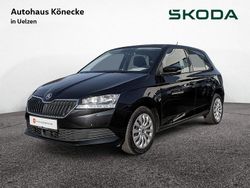 Schwarz Gebraucht 2020 Skoda Fabia Ambition Kleinwagen | 12.760 € (Fairer Preis)