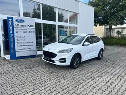 Weiß Gebraucht 2020 Ford Kuga ST-Line X SUV | 23.990 € (Teuer)